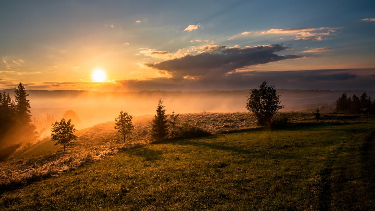 The Longevity Protocol: How Everyday People Are Extending Their Healthspan in 2026 The Longevity Protocol: How Everyday People Are Extending Their Healthspan in 2026